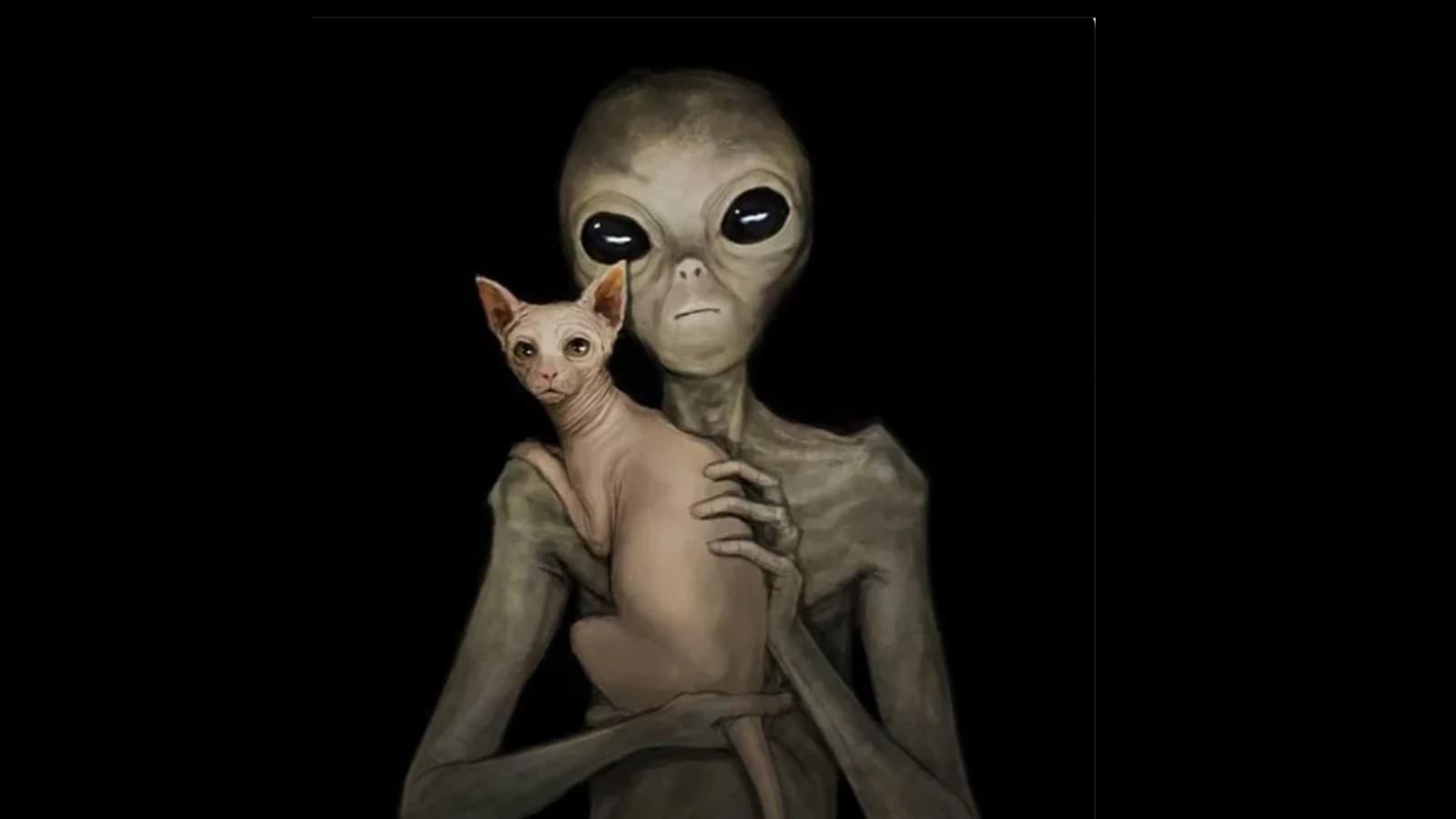 Create the Alien Game prototype within 7 days. cover